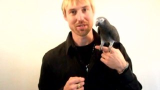 Adam Crocker and Chico the African Grey