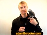 Adam Crocker and Chico the African Grey