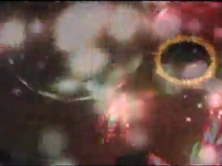 LIfe is ... La Liberté Des Poissons Rouges