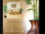 Silk Trees, Silk Plants, Silk Flowers and Artificial Christmas Trees - EliteSilkBotanicals.com
