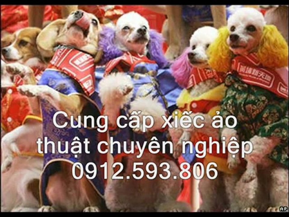 Cung cấp xiếc ảo thuật chuyên nghiệp 0912.593.806