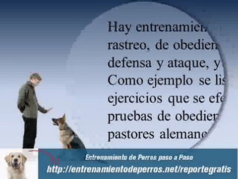 entrenamiento de perros pastor aleman