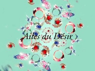 Boucheron Haute Joaillerie - Cabinet de Curiosités