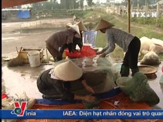 THỜI SỰ THÔNG TẤN XÃ VIỆT NAM, TTXVN, VNA, VNEWS 12H CLIP1/2 29.11.2011