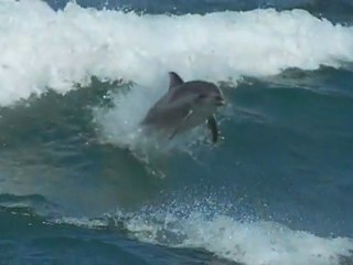 Pink Floyd - Marooned