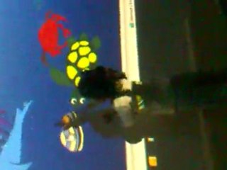 6B ingilizce dersinde akvaryum yapalım