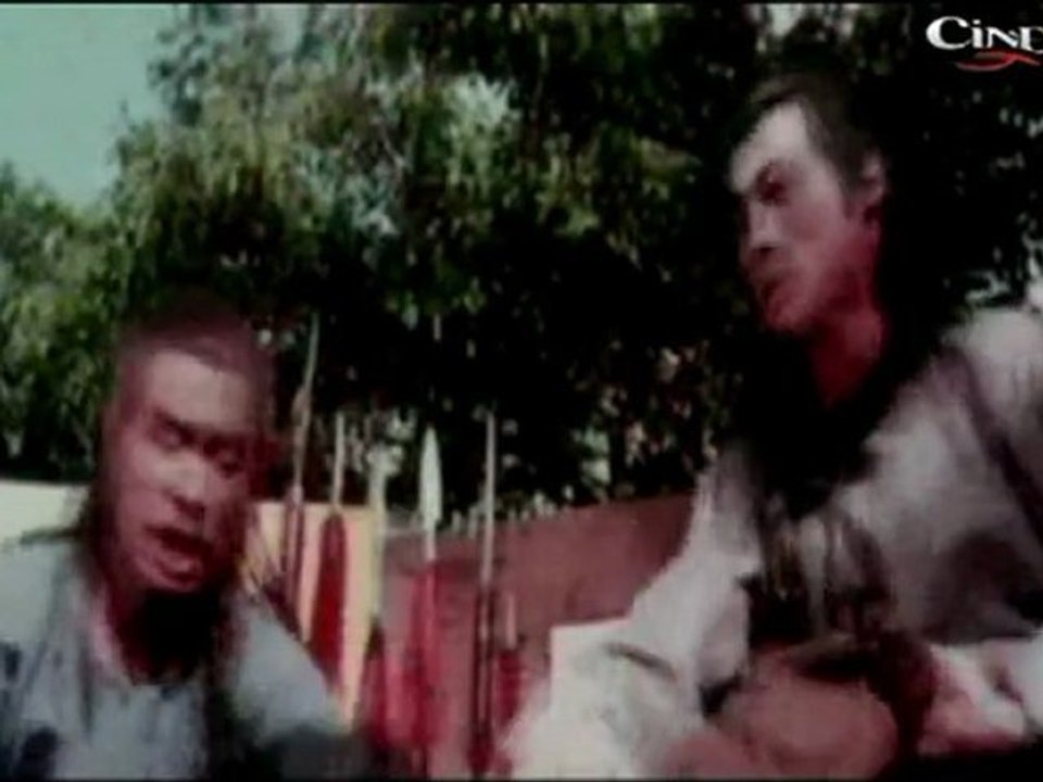 Fantatstic Action Scene Cantonen Iron Kung Fu