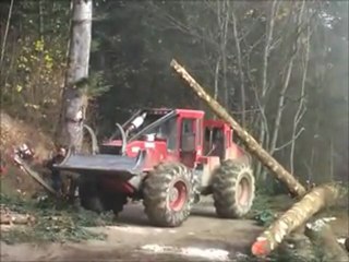 coupe-bois-tamié-Extension-Maison-du-Parc