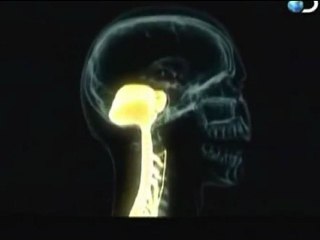 Sativex: Marihuana medicinal para la esclerosis multiple