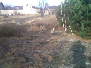 Frodo-Spacer 720p - part1