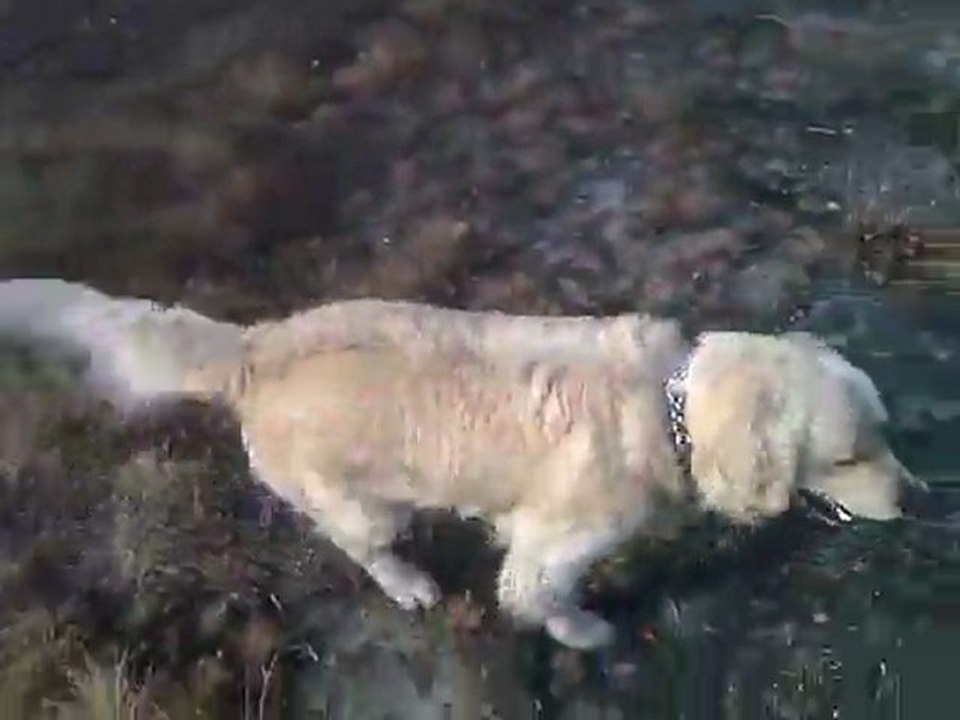 Frodo-Spacer 720p - part2