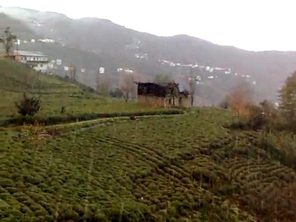 Hurmalıkköyünde dolu