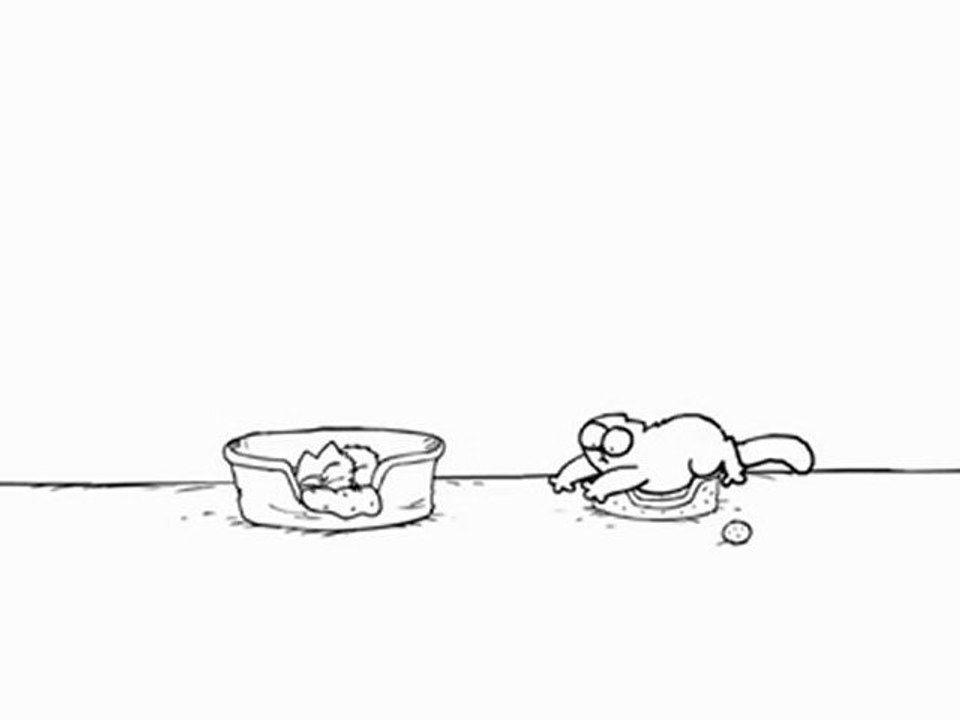 Les aventures de Simon' Cat
