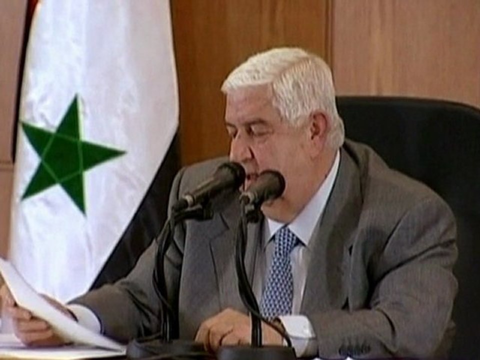Pro-Assad supporters protest sanctions