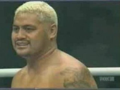 Mirko Crocop Vs Mark Hunt