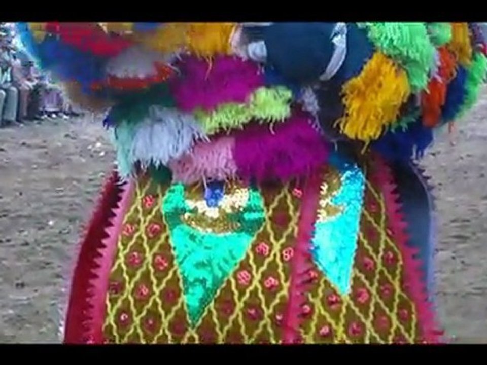 EGUNGUN 2011 HD 720