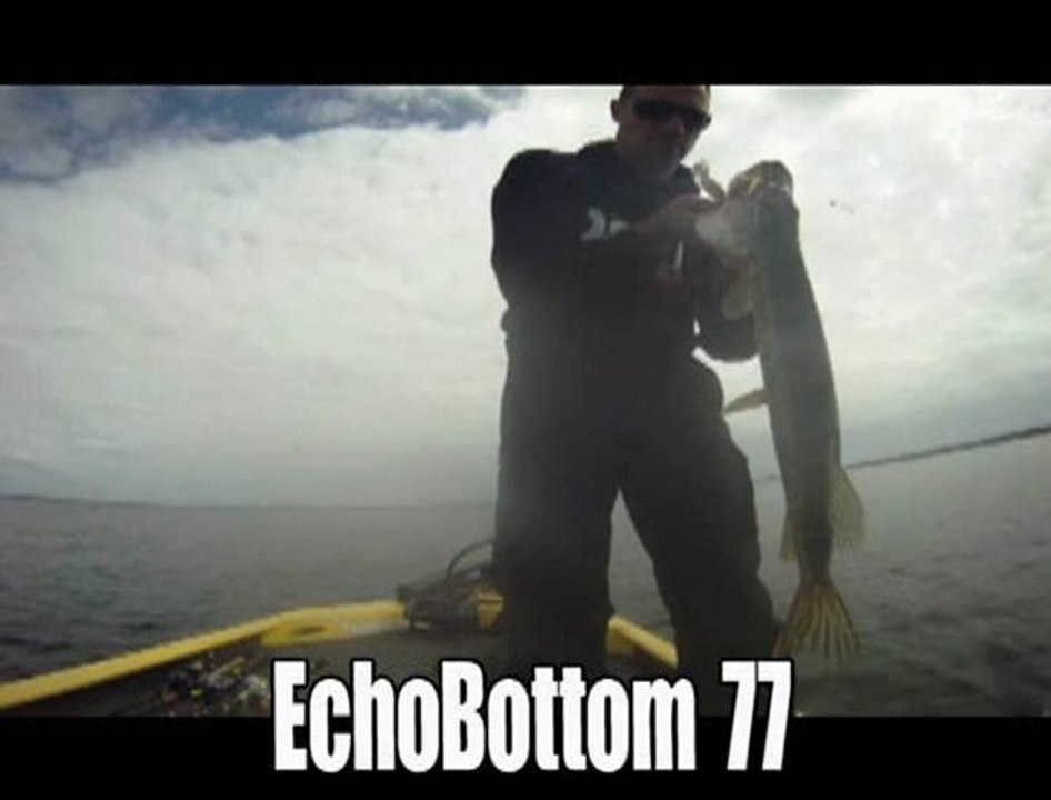 ECHOBOTTOM FEEL THE WEED