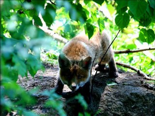 C'EST SI BEAU LA NATURE !!!