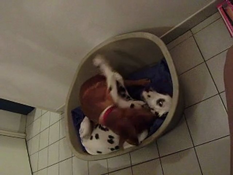 Gandhi et Eros Jeux 29/11/2011