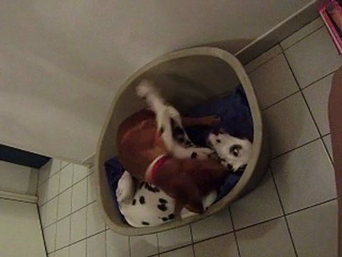 Gandhi et Eros Jeux 29/11/2011