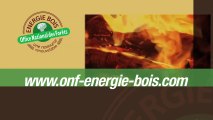 L'offre bois bûche d'ONF Energie