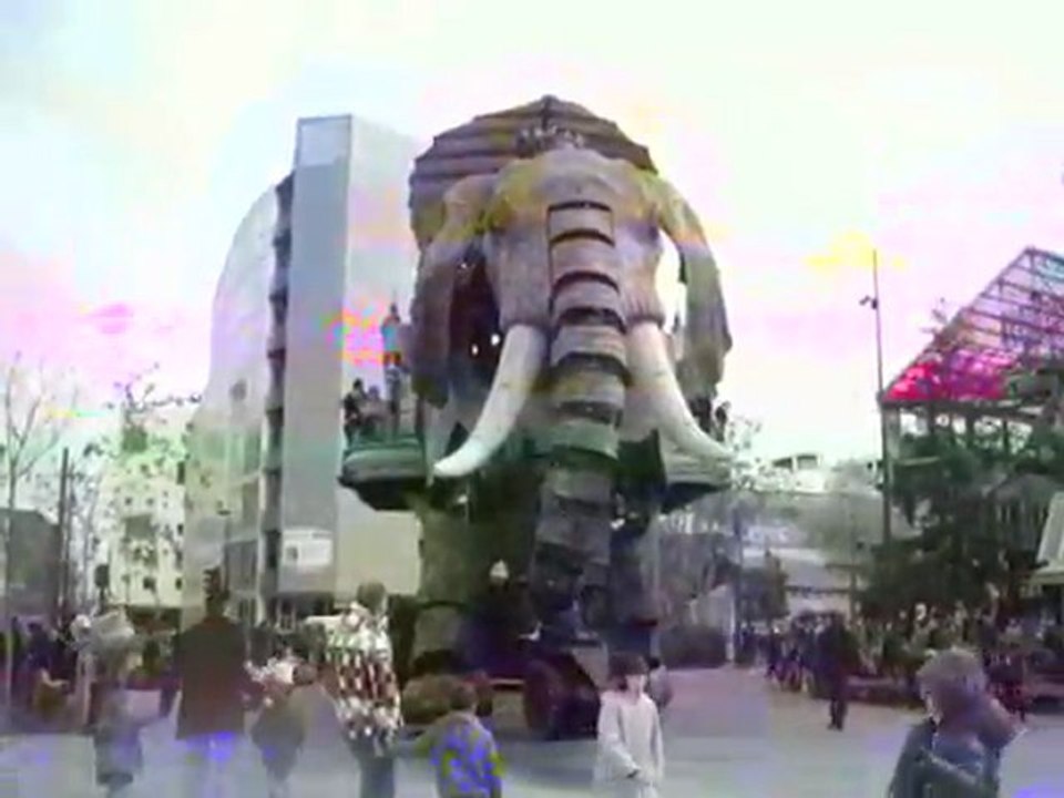 IMGP3133