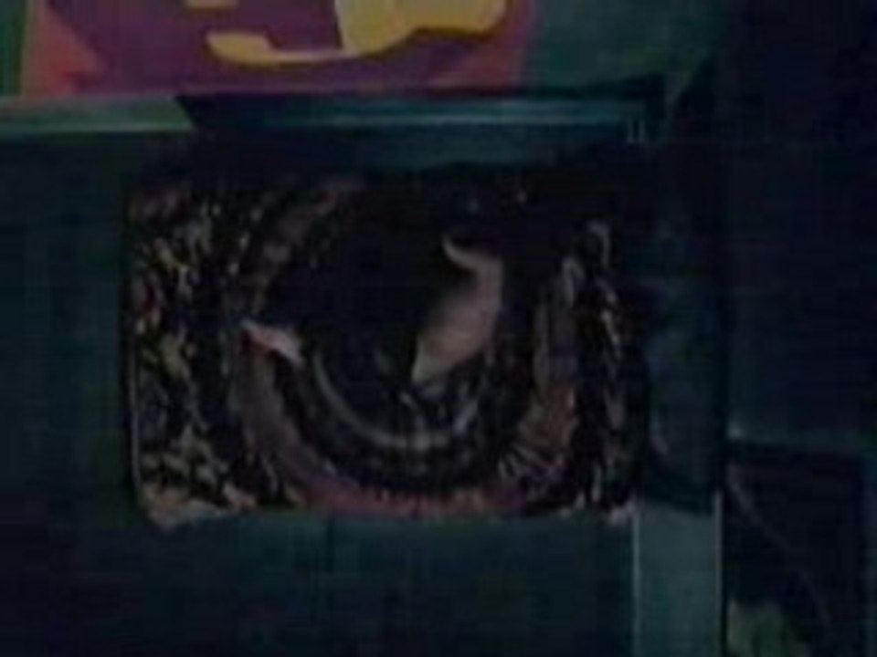 Depeche Mode - Barrel of a Gun