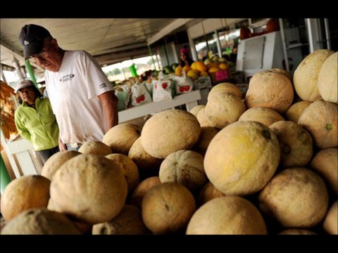 Food Bacterial Pathogens from an MD's Perspective