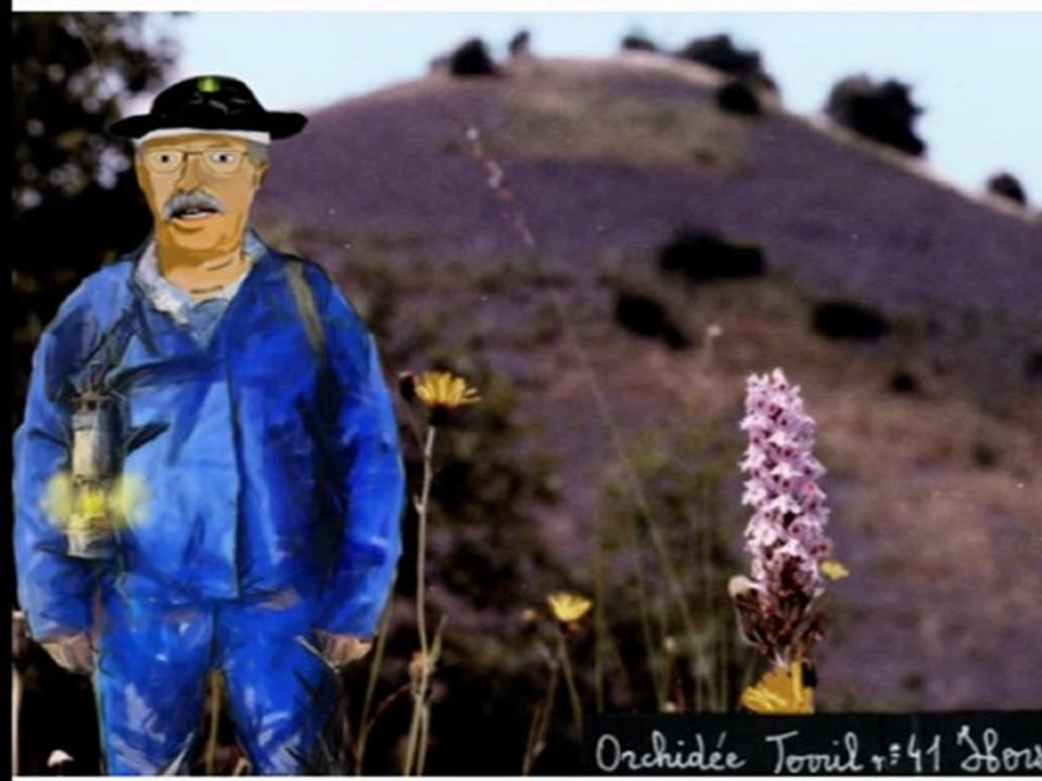 z'orchidees martial ansart