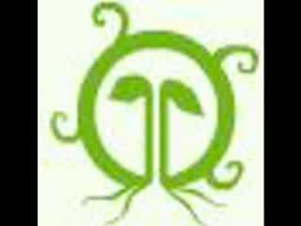 Gemini (4 ecoles