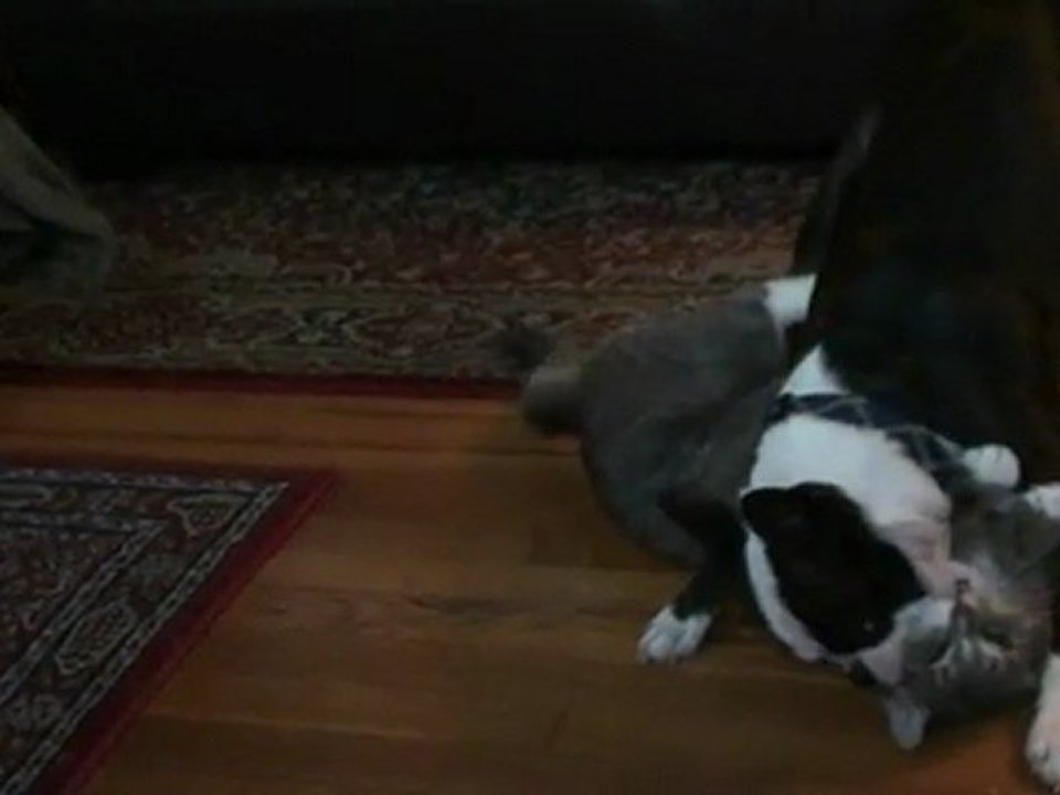 rascal tussle