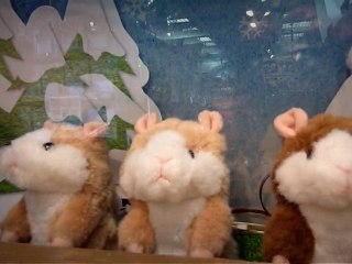 Crazy Hamster !!!  Japan Toys Talking Hamster MimicryPet.
