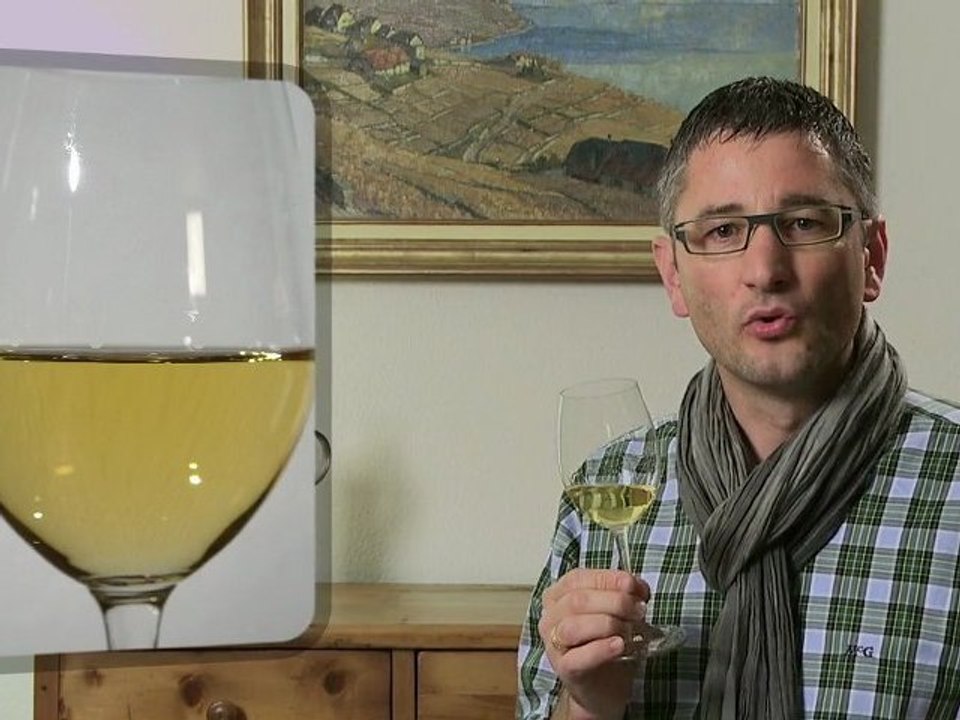 Petite Arvine Les Titans 2008 Provins Valais - Wein im Video