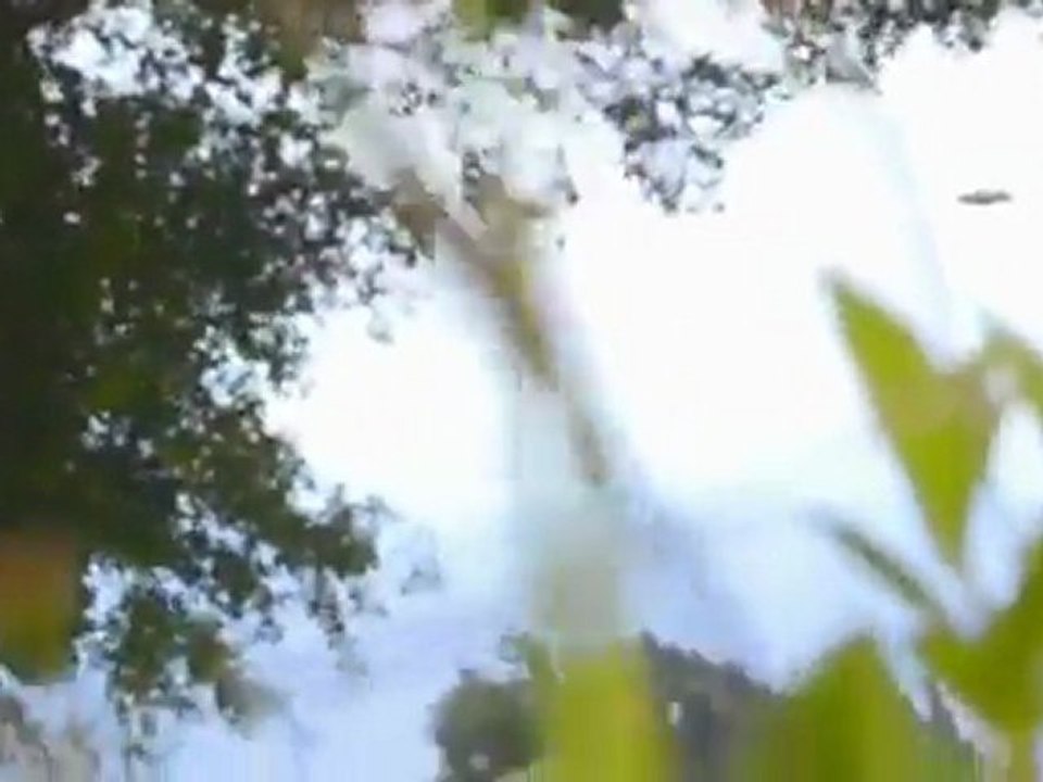 UFO .brésil