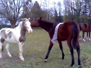 Bébou imperturbable..... 7 mois et demi