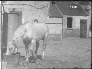 Le cheval qui  n’a pas soif – Fonds Mouvement Freinet – n°1