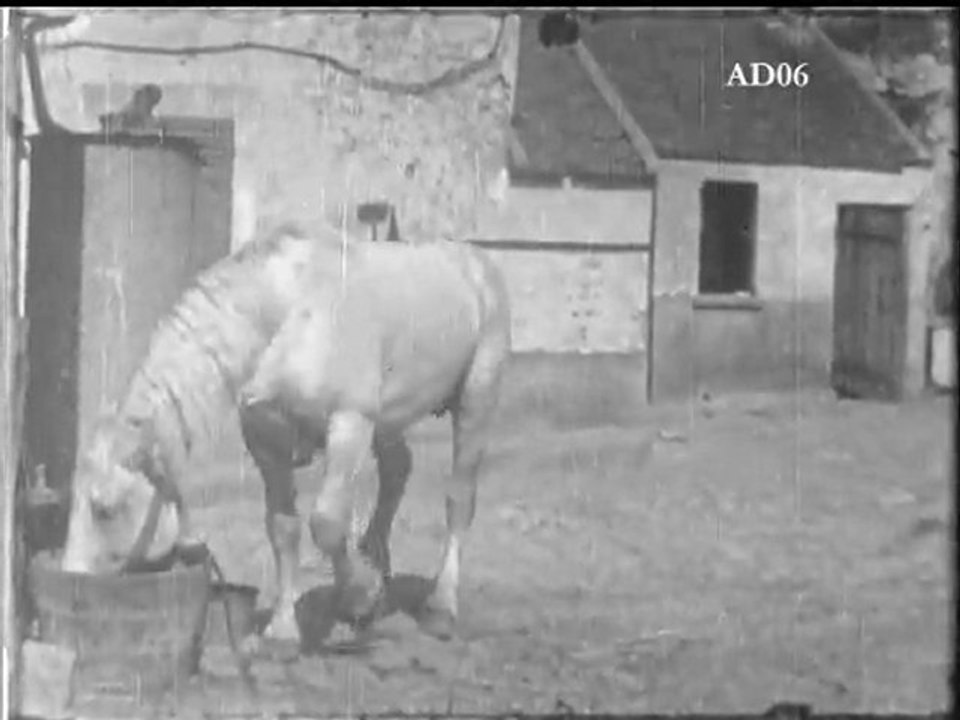 Le cheval qui  n’a pas soif – Fonds Mouvement Freinet – n°1