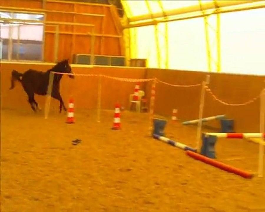 Louis' zweites Freispringen - Pumped up kicks