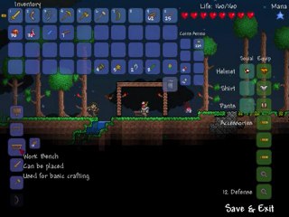 Terraria Episode 11: Les dangers de la Jungle