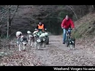 Weekend Vosges novembre 2011