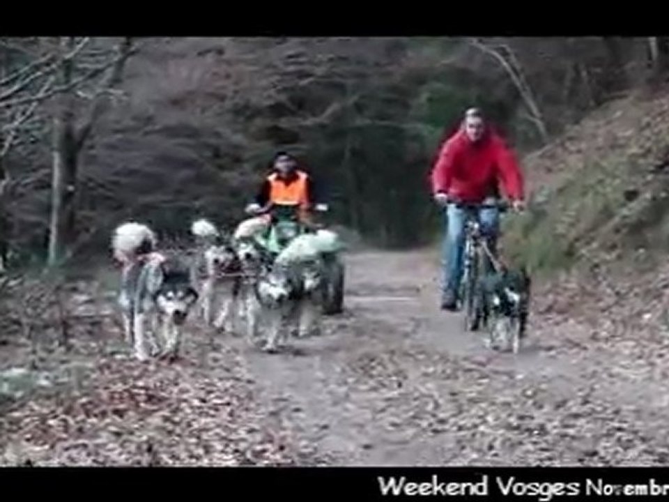 Weekend Vosges novembre 2011