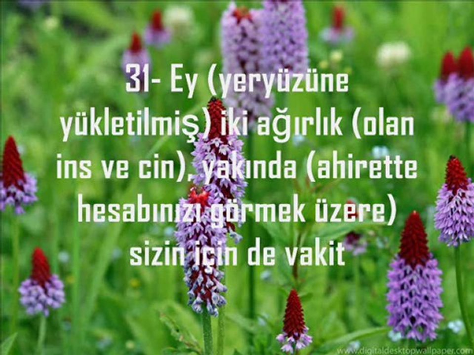 URFASEVDAM RAHMAN SURESİ