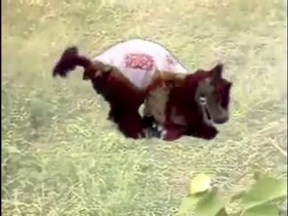TDK videoplayback_115