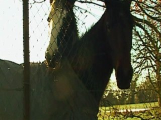 Quiet Moments in Borehamwood