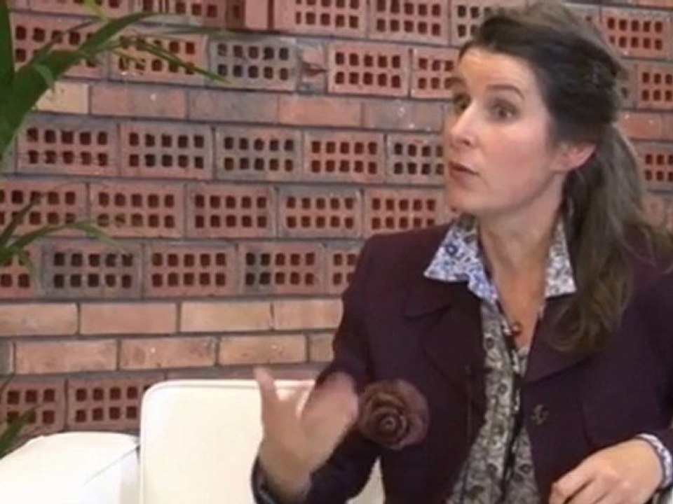 Interview Cabinet Merlin lors d'InVDoc 2011