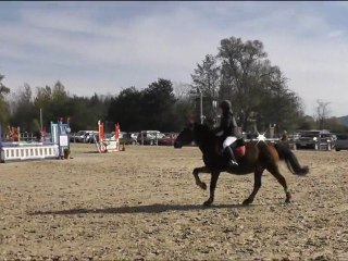 Concours à St Gaudens en club 2 le 13/11/11 avec Rigolo