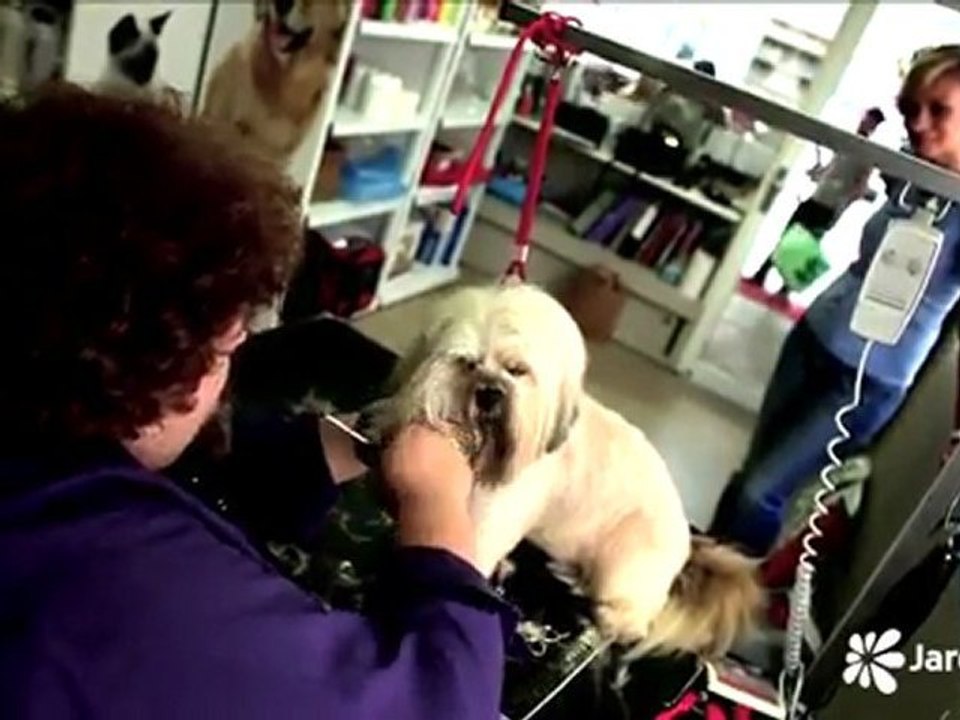 Le JT vert du 30 novembre 2011