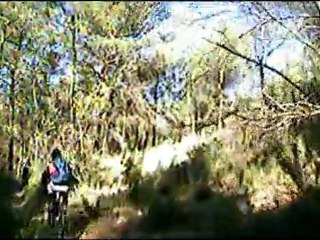 Sortie XVTT Venelles 27-11-11 partie 2/2