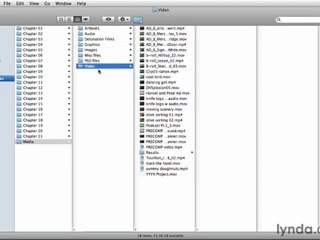 Exercise files