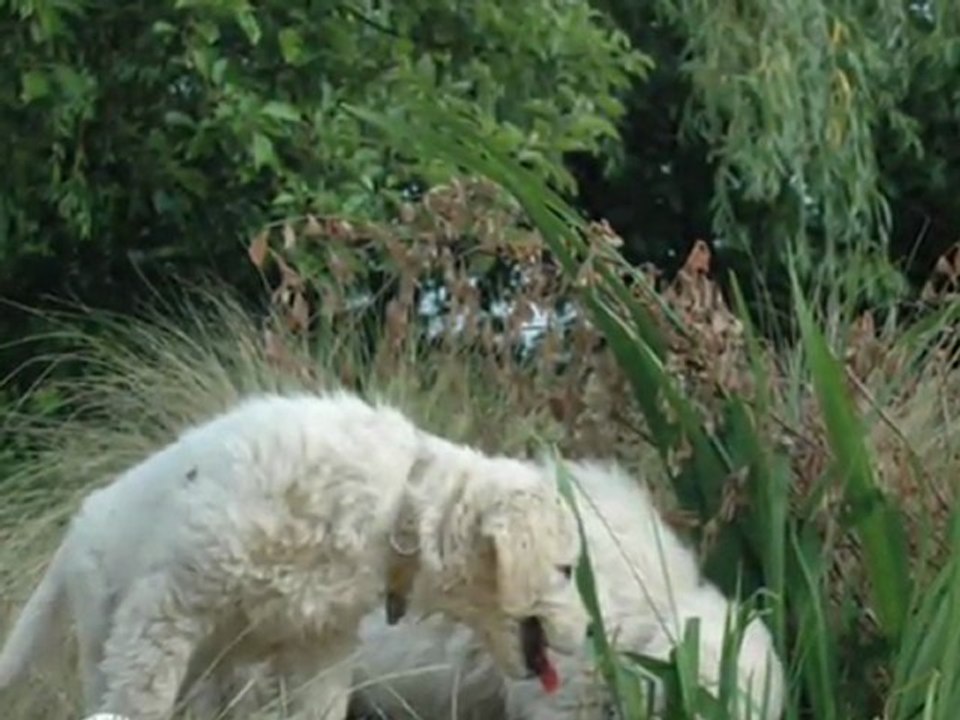 Guidelle  et Gaia mai 2011